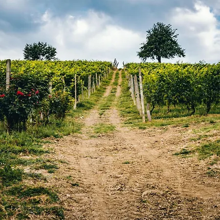 Dacapo * Agliano Terme